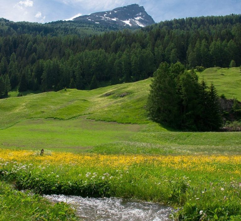 Die Kraft der Natur entdecken