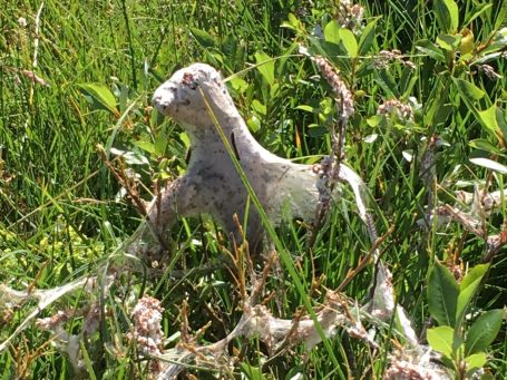 Natur entdecken