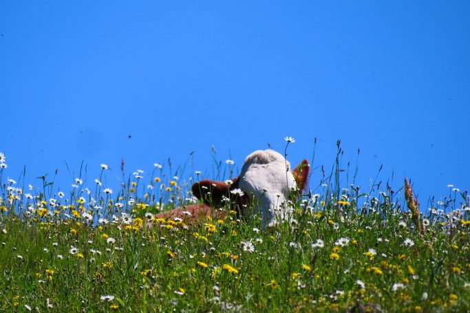 Natur entdecken