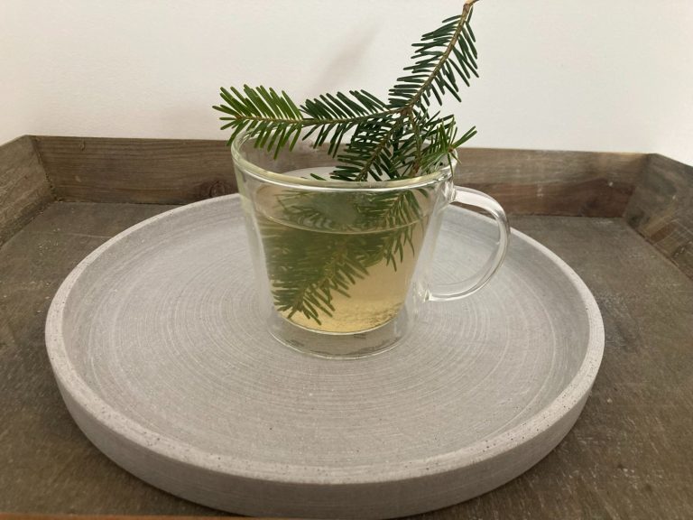 Rezept Fichten Tee